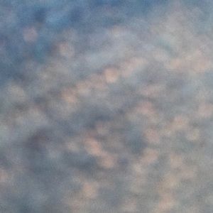 Meet your Posher, Daniela